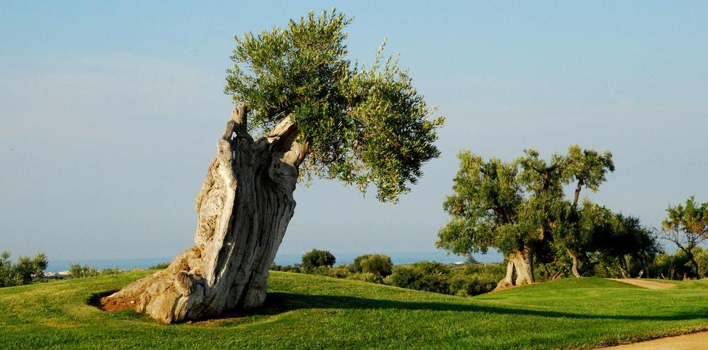 Albergo Masseria Refrigerio Ostuni Εξωτερικό φωτογραφία
