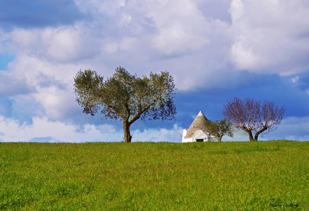 Albergo Masseria Refrigerio Ostuni Εξωτερικό φωτογραφία