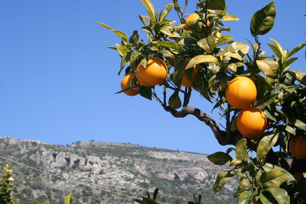 Albergo Masseria Refrigerio Ostuni Εξωτερικό φωτογραφία