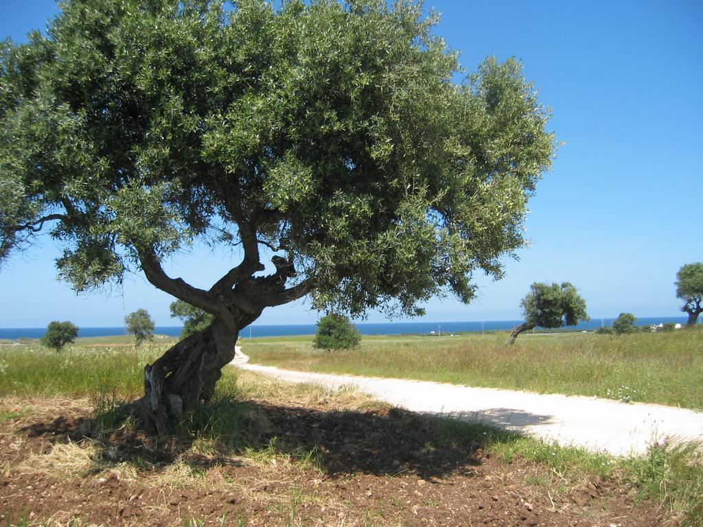 Albergo Masseria Refrigerio Ostuni Εξωτερικό φωτογραφία